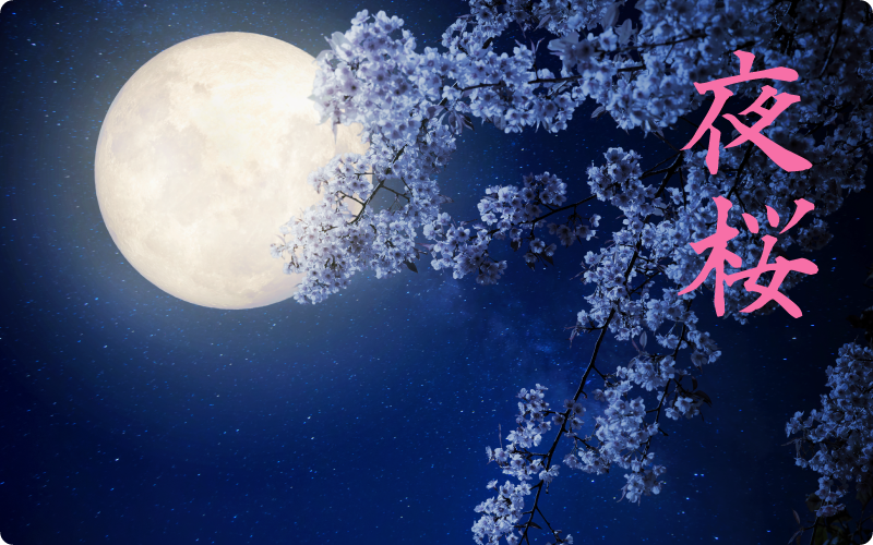 夜の部 春のビッグイベント！　夜桜お花見パーティー